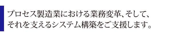 プロセス製造業における業務変革、そして、
それを支えるシステム構築をご支援します。