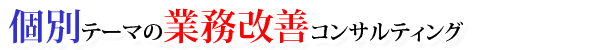 個別テーマの業務改革コンサルティング